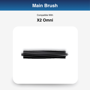Main Brush