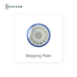Mopping Plate